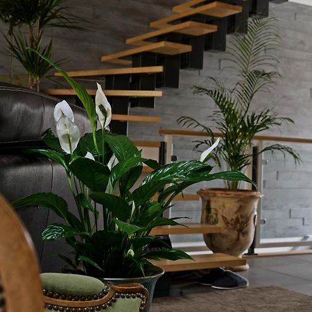 Superbe Appartement Au Coeur Du Jura Champagnole Ngoại thất bức ảnh